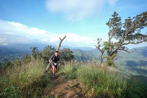 BIB: 
                            <button type="button" onclick="openModal(22432052)" class="btn btn-primary btn-sm float-right btn-popup" data-toggle="modal" data-target=".modal-high-quality">
                        <i class="fas fa-shopping-cart"></i> Add to Cart
                    </button>
                                            <button type="button" onclick="isThisMe(22432052, true)" class="btn btn-success btn-sm float-right btn-popup btn-isme hidden" data-toggle="tooltip" data-placement="bottom" title="นี่คือรูปของคุณใช่ไหม คลิกที่นี่เพื่อเอาเข้าอัลบั้ม">
                        <i class="fas fa-plus"></i> Add to album
                    </button>
                    <button type="button" onclick="isThisMe(22432052, false)" class="btn btn-warning btn-sm float-right btn-popup btn-isnotme hidden">
                        <i class="fas fa-ban"></i> Remove from album
                    </button>